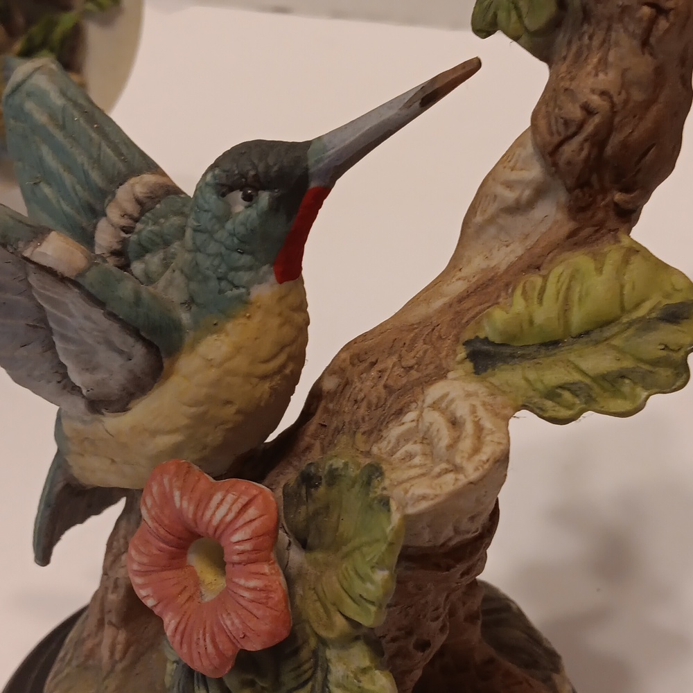 Humming birds set - Picture 6 of 10